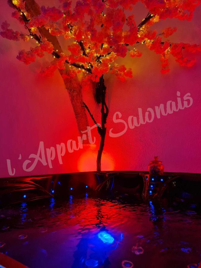 Lappart-Salonais 70M2 Avec Jacuzzi Privatif Экстерьер фото